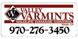 Steamboat Springs Pest Control